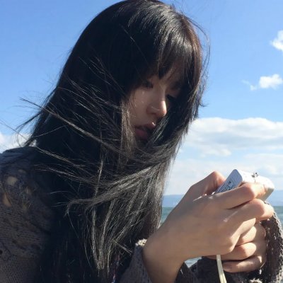 消失的大象
